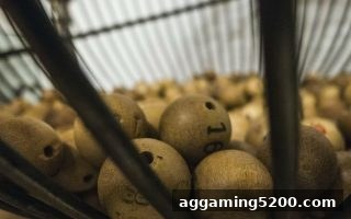 体育博彩网站彩票开奖趋势全解读：从机制到理性分析