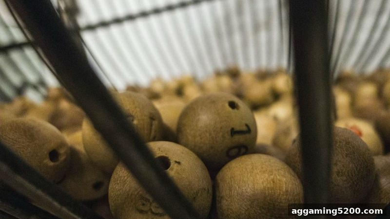 体育博彩网站彩票开奖趋势全解读：从机制到理性分析