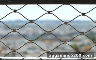 体育博彩网站如何保障11选5玩家的安全？全方位评估指南